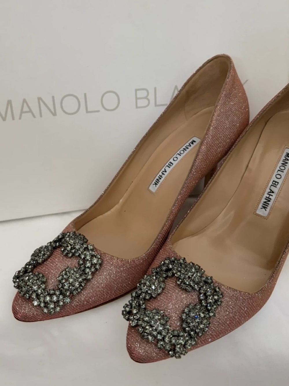 Manolo Blahnik Hangisi 90 Pumps